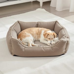 Dog Beds